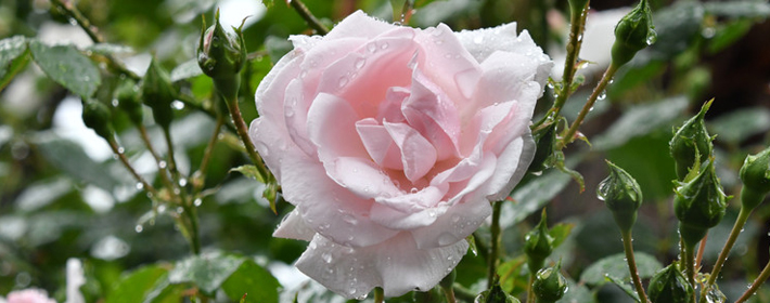 本來很喜歡一個人，在一起后又想分手是什么原因？