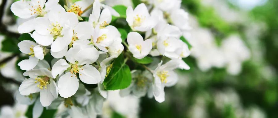 直面恐懼，是我戰勝抑郁癥的關鍵原因