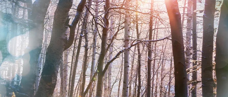 直面恐懼,是我戰(zhàn)勝抑郁癥的關(guān)鍵原因 直面恐懼,是我戰(zhàn)勝抑郁癥的關(guān)鍵原因