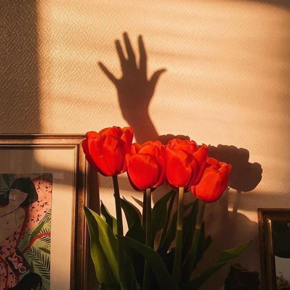 測試下一任吸引你的魅力是什么?