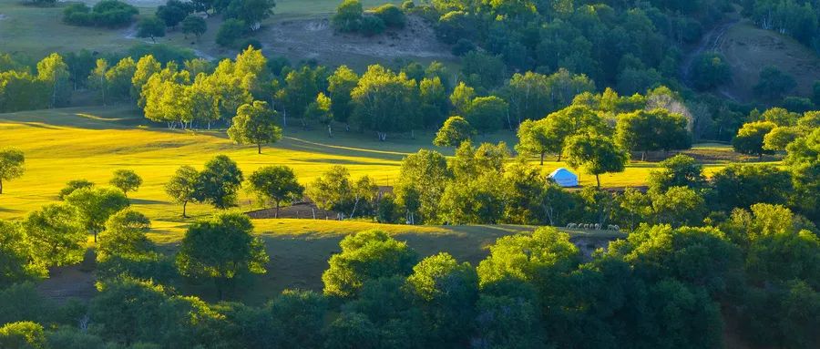 總是受累于人際關系怎么辦？
