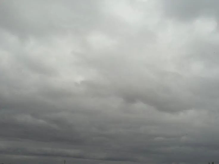 長大的我與母親的和解 長大的我與母親的和解