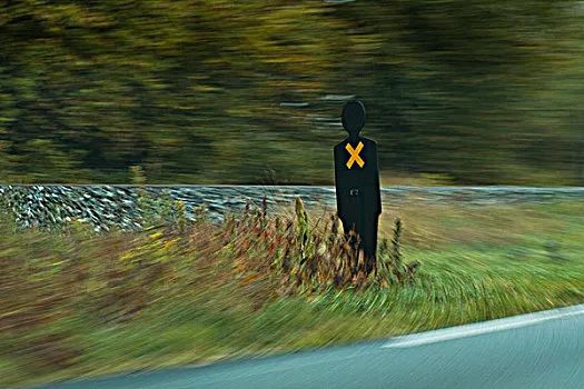 長大的我與母親的和解 長大的我與母親的和解