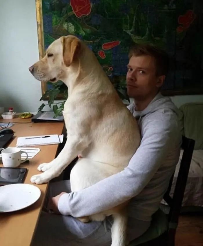 孩子黏人的背后,其實是這項需求沒被滿足 孩子黏人的背后,其實是這項需求沒被滿足