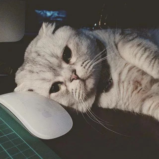 父母越用心孩子越差，不懂心理學(xué)效應(yīng)再用力也沒有用