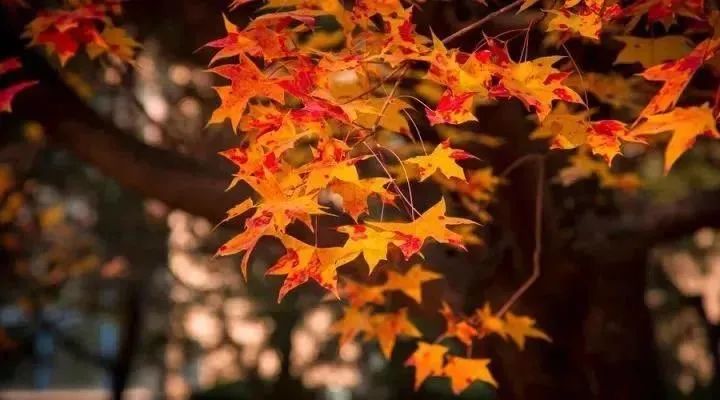 別讓過度焦慮毀了你的人生