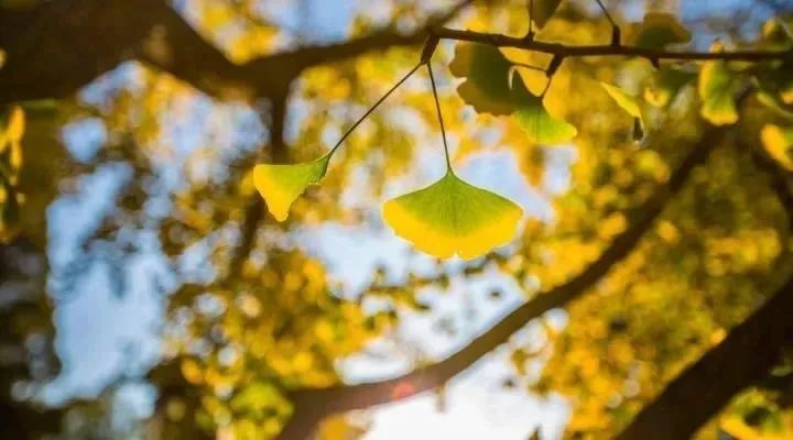 別讓過度焦慮毀了你的人生