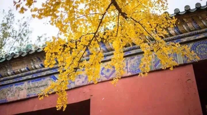 別讓過度焦慮毀了你的人生