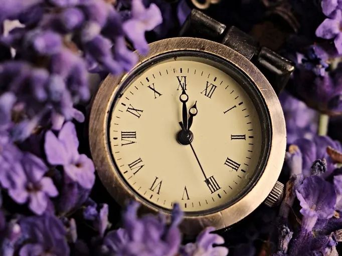 幼兒死亡教育的理解,從恐懼到釋然 幼兒死亡教育的理解,從恐懼到釋然