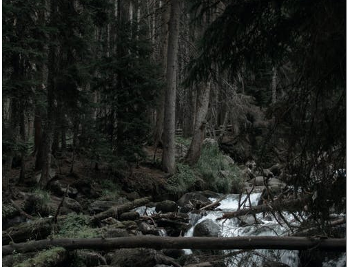 為什么上級對你的反饋不要全聽？