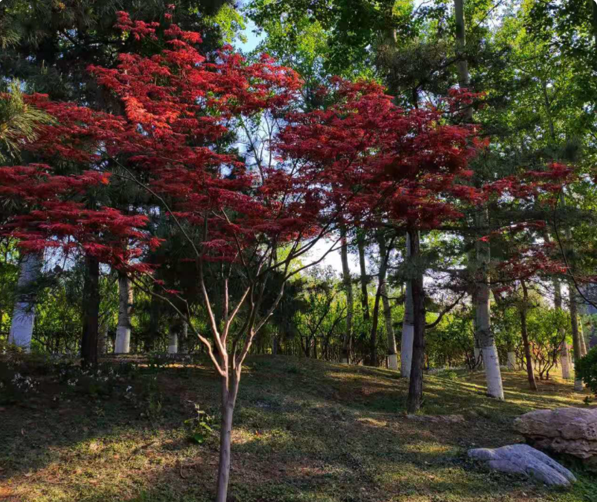 愛情真的可遇不可求嗎？