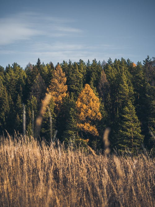 女性需要改變自己