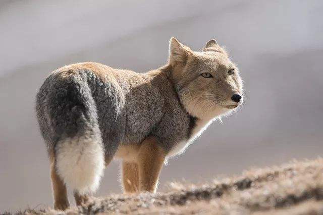 如何荒廢你的2022