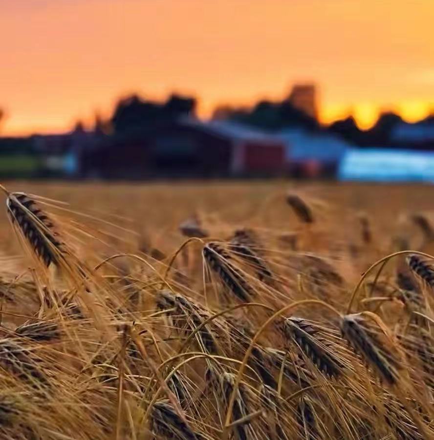 三個影響職場積極性的因素，你中招了嗎？