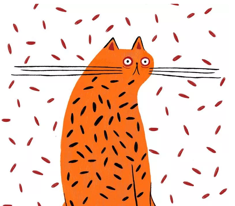 2022年過去1/6了，你們的“新年計劃”還好嗎？