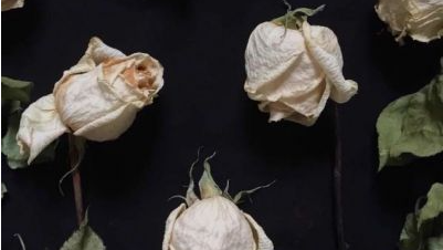 為什么有的人難以與人建立親密關(guān)系？