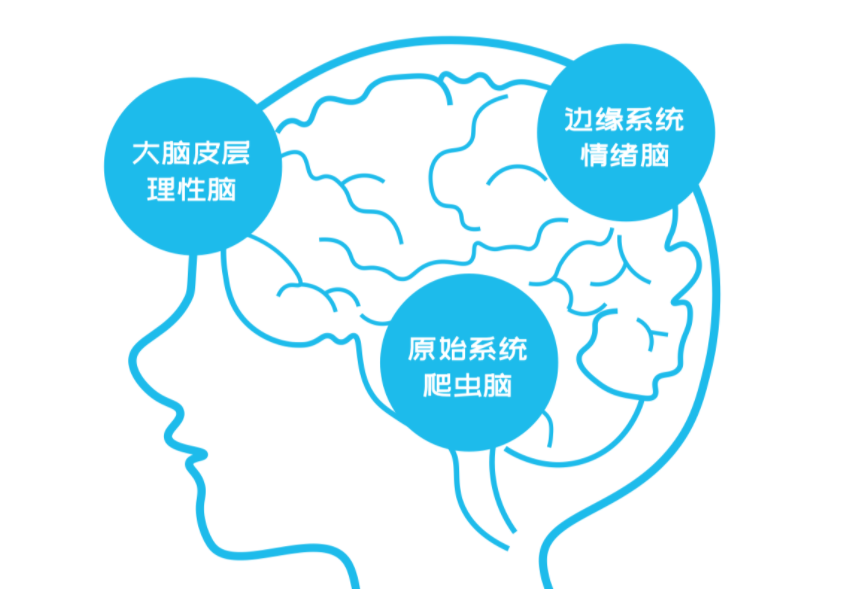 情緒的內耗，才是你人生低效的最大根源