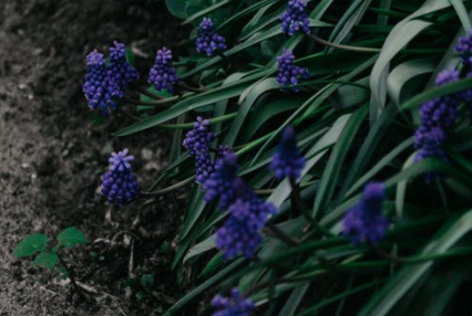 優(yōu)秀學(xué)生為什么會自殺？