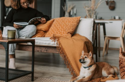 90后職場人婚戀觀解讀面包與愛情同等重要