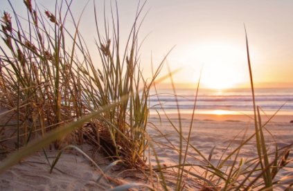 職場社交做人最忌諱的，是太有身份感