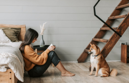 房子、樹、人——心理學測試 房子、樹、人——心理學測試