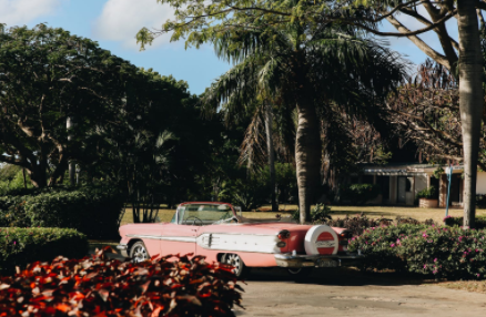 情商高的人更自信 但也更易被騙 情商高的人更自信 但也更易被騙