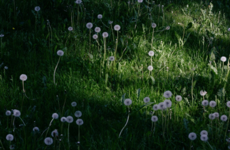 忍耐不是美德,生氣才是 忍耐不是美德,生氣才是