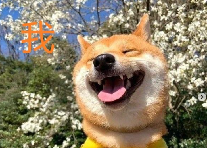 抑郁了，你就玩一會兒…