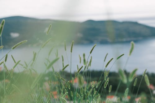 擺脫有毒關(guān)系