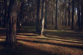 [人際交往]懂得求助也是一種優點