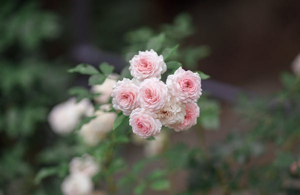 做到這四點，讓你的情商更高