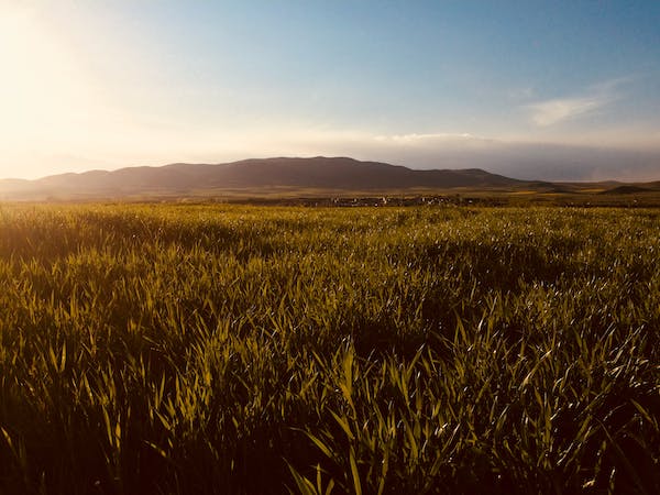 學會依戀，你就學會了擁抱真實世界