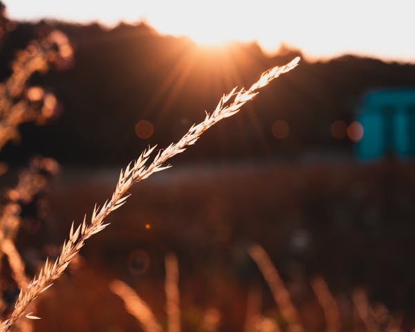 當代人類孤獨圖鑒
