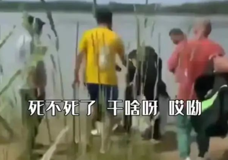 為什么中國父母總喜歡“打擊式教育”？