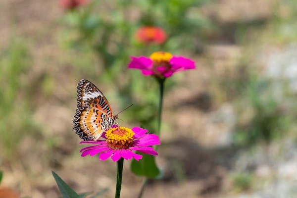 容易臉紅更招人喜歡？如何讓緊張情緒成為你的加分項