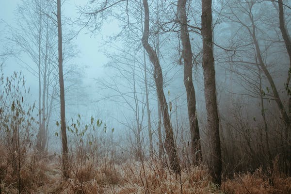  9種方法幫你有效化解職場中犯錯的尷尬