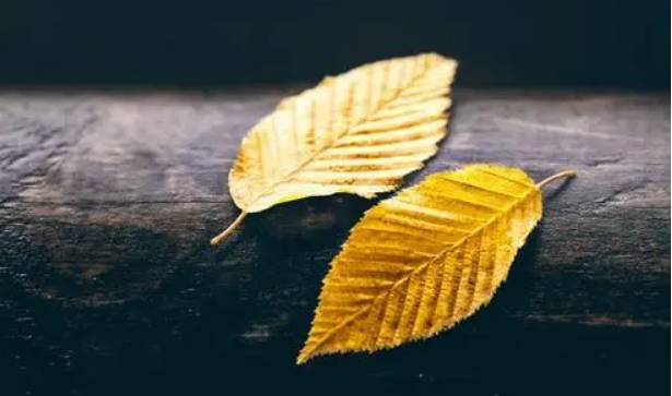 為什么越是討好，就越是受傷？