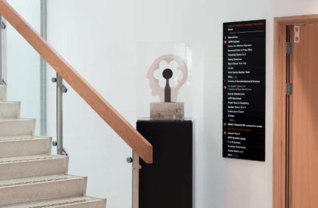 當你感到內疚時，你的大腦會發生什么?