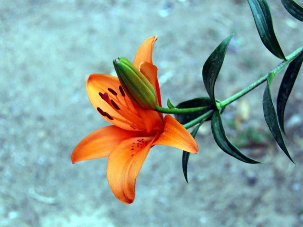 圈子不同，有必要強融嗎？