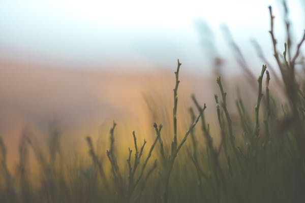 為什么我總是格外敏感：“感同身受”真的存在嗎？