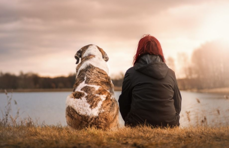 依戀視角看高敏感人群：高敏感性格需要改變嗎？