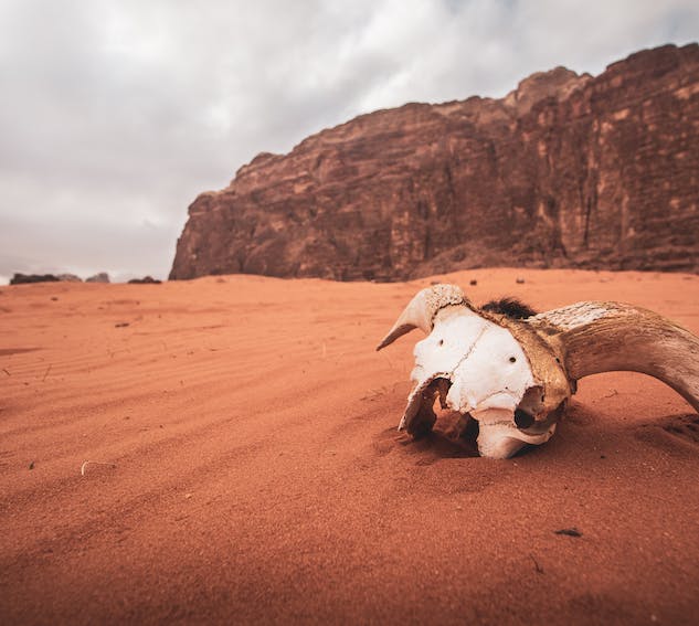 女生如何打扮，面試更容易過？
