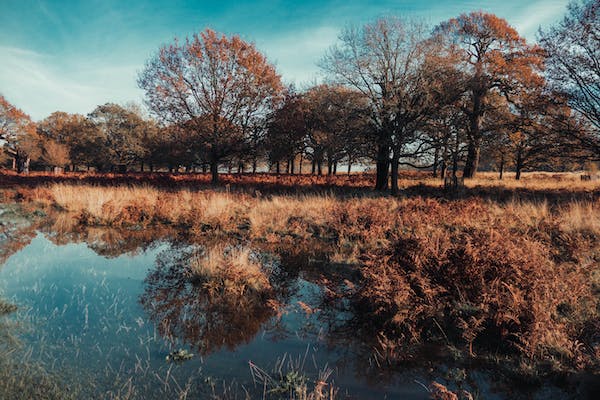 為何我聽不懂他人的言外之意？晉升快，情商很重要。