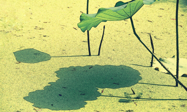 你對別人好不好，不一定是你說了算