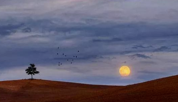 職場受挫，如何防止消極結果的產生?