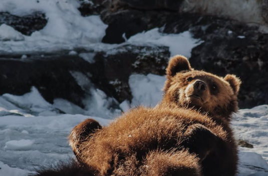 擁抱越多，抑郁癥狀越少