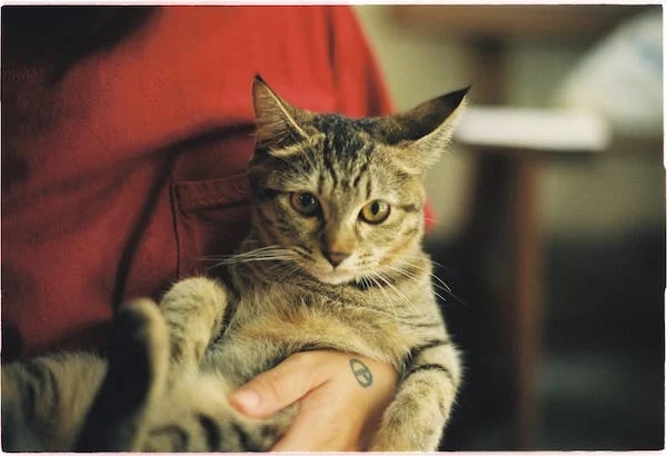 為什么有的人吃飯總是剩一口？？？