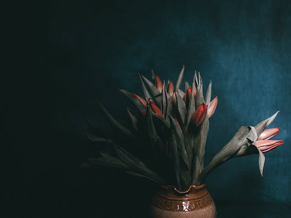 練習“三件好事”，提高自己的幸福感