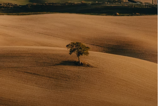 “隱形焦慮”不自知，才是自我內耗的元兇！