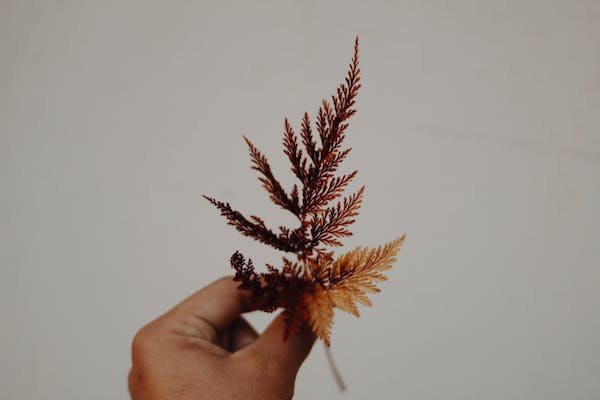 化解人際糾紛的智慧：正確方法讓問題不再難以處理